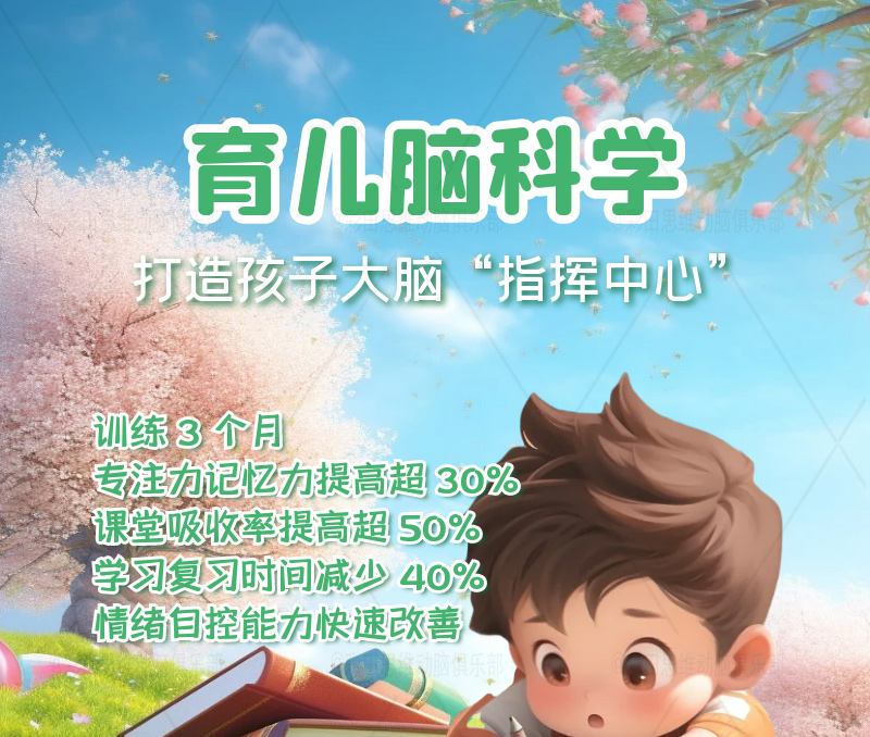 前额叶训练➡️孩子大脑“指挥中心”