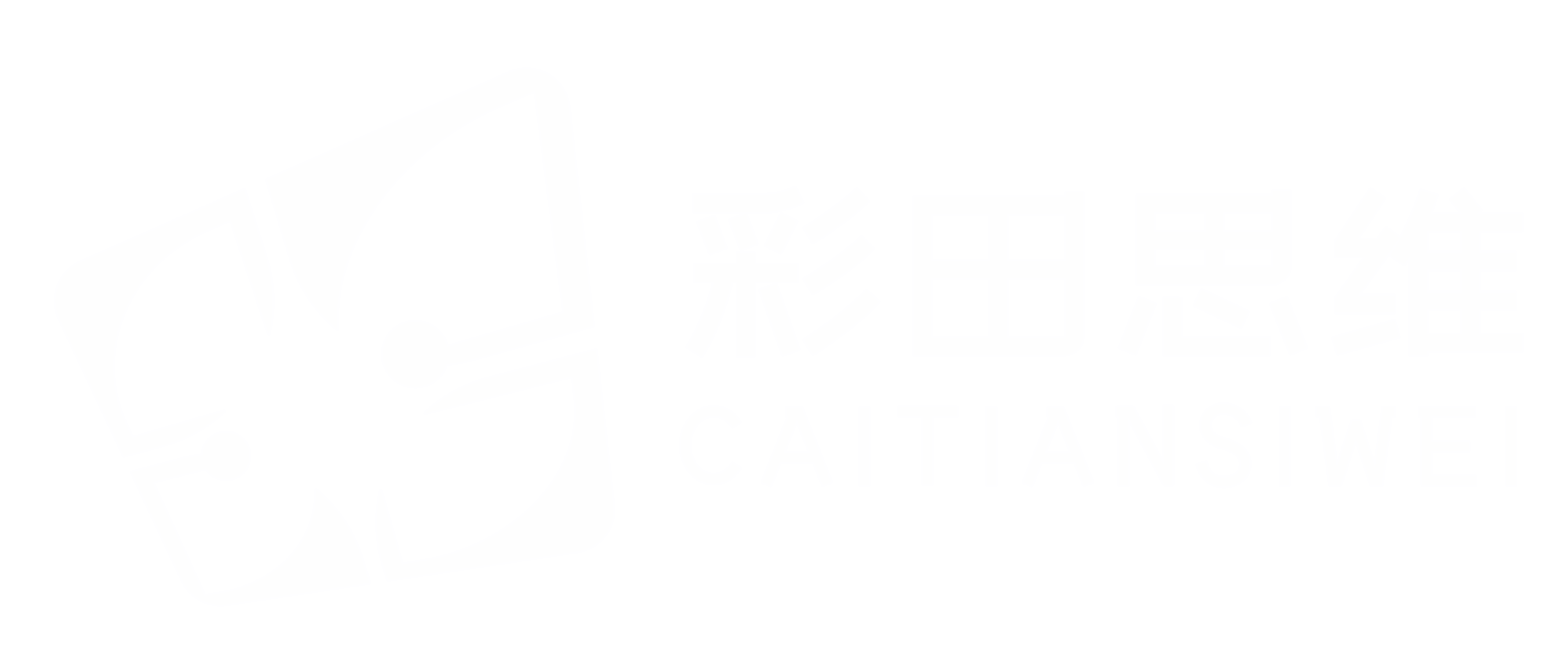 彩田思维